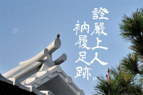 衲履足跡意思